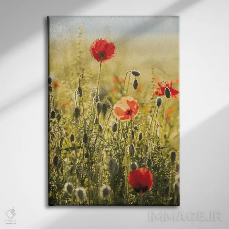 تابلو دکوراتیو مزرعه خشخاش ۲ اثر مارتین پودت - نمای روبهرو روی دیوار