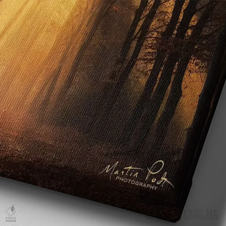 تابلو دکوراتیو پرتو خورشید اثر مارتین پودت - نمای نزدیک بافت بوم