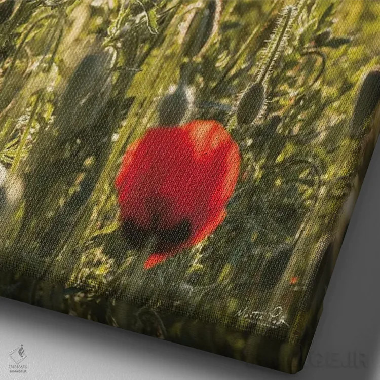 تابلو دکوراتیو مزرعه خشخاش ۲ اثر مارتین پودت - نمای نزدیک بافت بوم