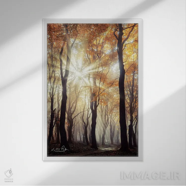 تابلو دکوراتیو انفجار اثر مارتین پودت - نمای قابدار سفید