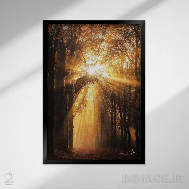 تابلو دکوراتیو پرتو خورشید اثر مارتین پودت - نمای قابدار مشکی