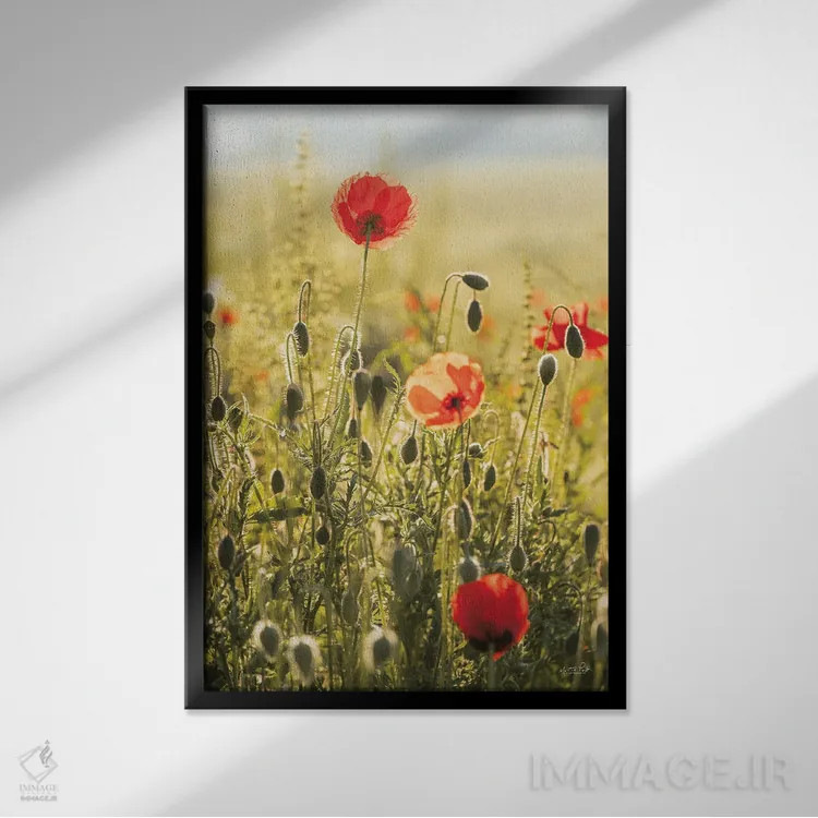 تابلو دکوراتیو مزرعه خشخاش ۲ اثر مارتین پودت - نمای قابدار مشکی