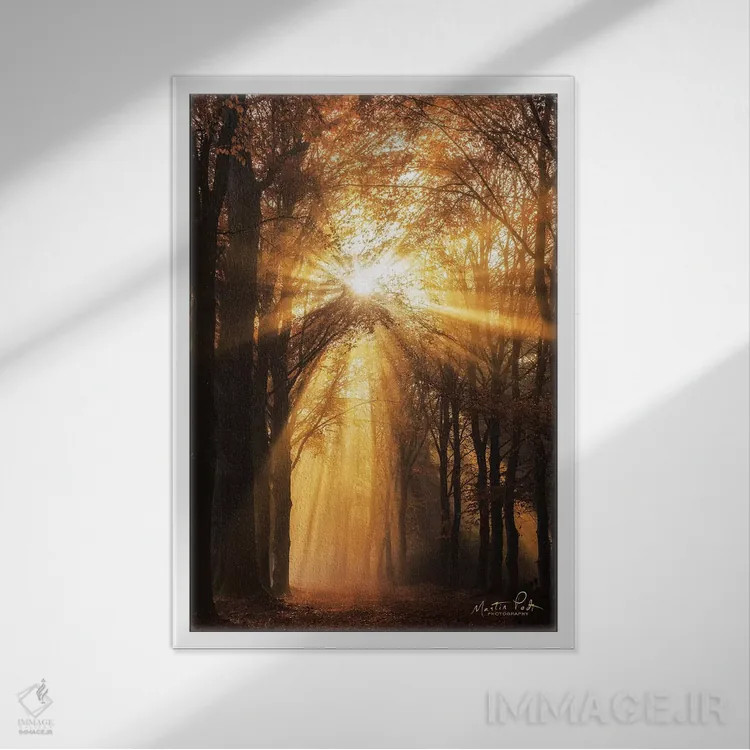 تابلو دکوراتیو پرتو خورشید اثر مارتین پودت - نمای قابدار سفید