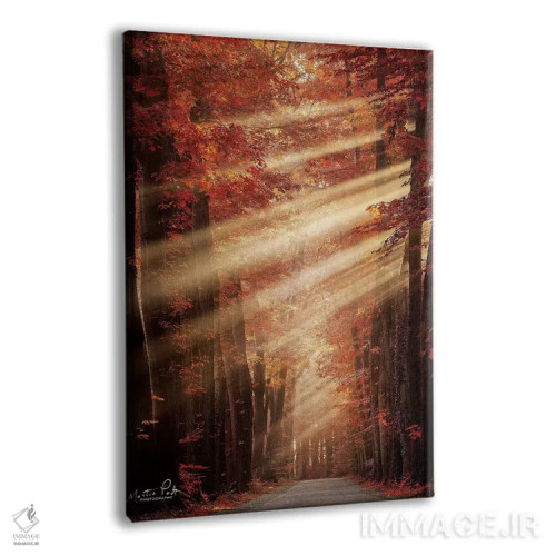 تابلو دکوراتیو بانوان با لباس قرمز اثر مارتین پودت - نمای پرسپکتیو محصول