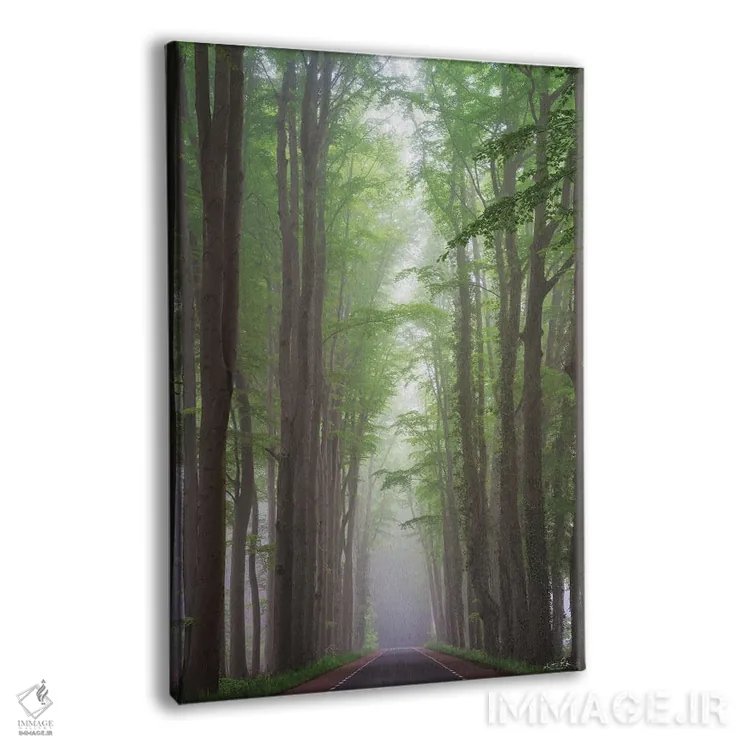 تابلو دکوراتیو جاده مه آلود اثر مارتین پودت - نمای پرسپکتیو محصول