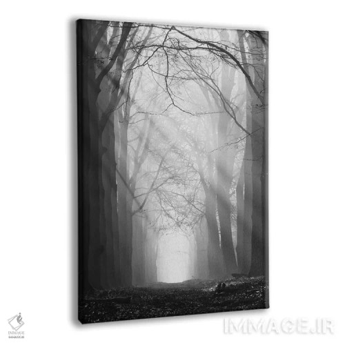 تابلو دکوراتیو مسیر پرتو خورشید اثر مارتین پودت - نمای پرسپکتیو محصول