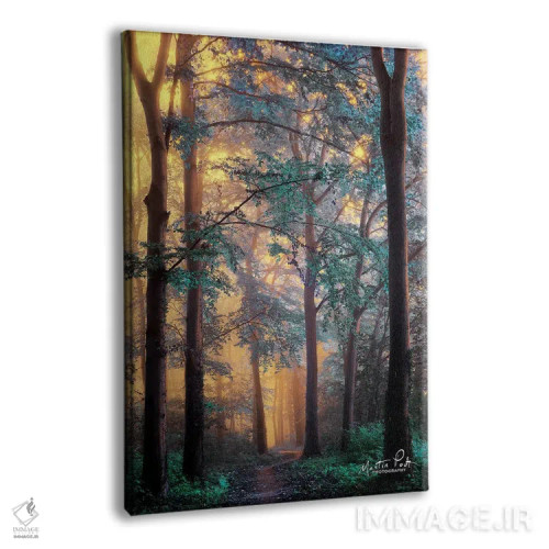 تابلو دکوراتیو سرزمین عجایب اثر مارتین پودت - نمای پرسپکتیو محصول