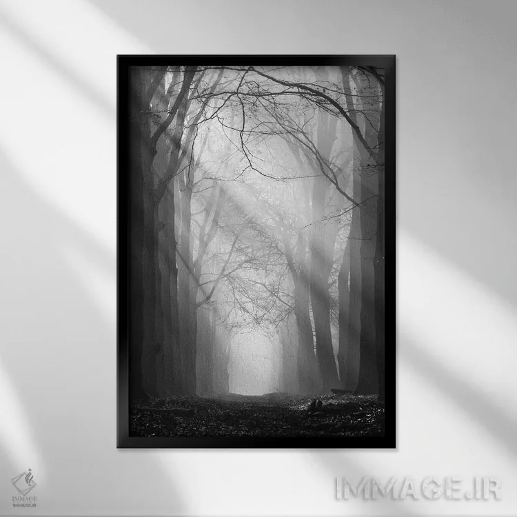 تابلو دکوراتیو مسیر پرتو خورشید اثر مارتین پودت - نمای قابدار مشکی