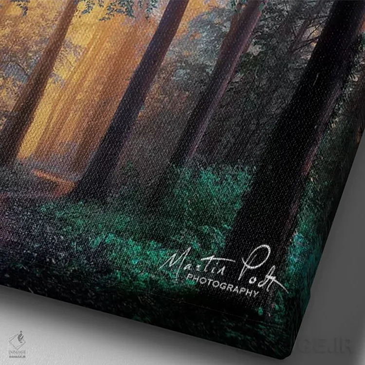 تابلو دکوراتیو سرزمین عجایب اثر مارتین پودت - نمای نزدیک بافت بوم