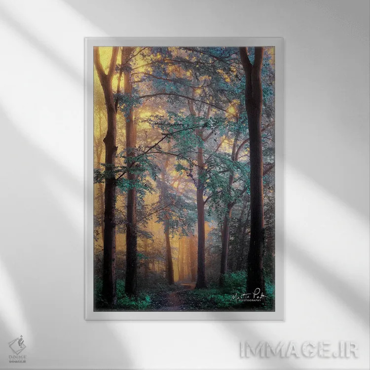 تابلو دکوراتیو سرزمین عجایب اثر مارتین پودت - نمای قابدار سفید