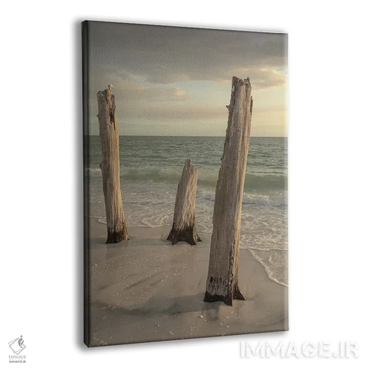 تابلو دکوراتیو Florida,پارک ایالتی لاورز کی، فلوریدا اثر مارسا پرایور - نمای پرسپکتیو محصول