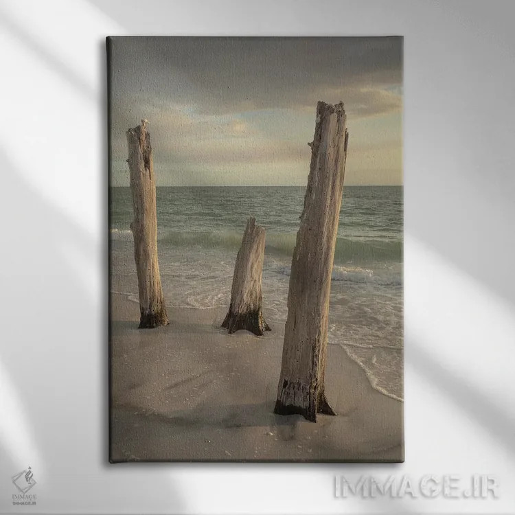 تابلو دکوراتیو Florida,پارک ایالتی لاورز کی، فلوریدا اثر مارسا پرایور - نمای روبهرو روی دیوار