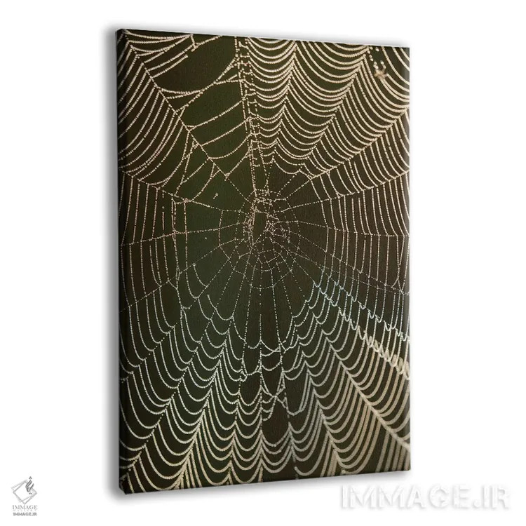 تابلو دکوراتیو Cameron Prairie National Wildlife Refuge, Louisiana,شبنم ص… اثر مارسا پرایور - نمای پرسپکتیو محصول