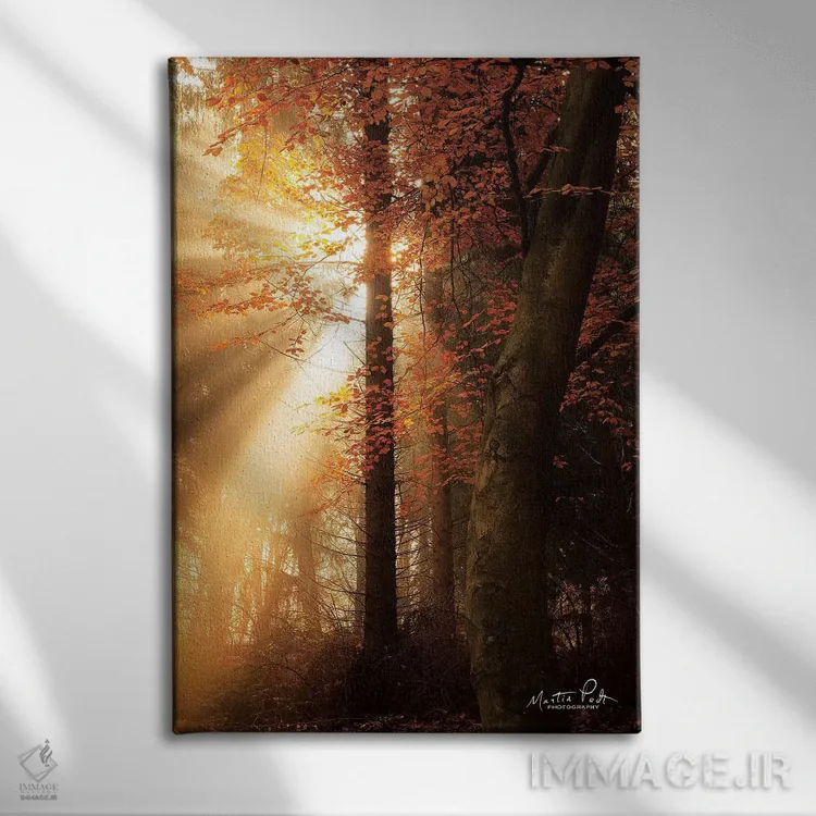 تابلو دکوراتیو بهترین های پاییز اثر مارتین پودت - نمای روبهرو روی دیوار