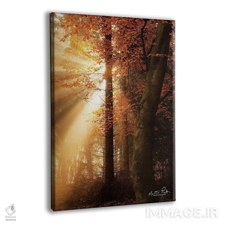 تابلو دکوراتیو بهترین های پاییز اثر مارتین پودت - نمای پرسپکتیو محصول