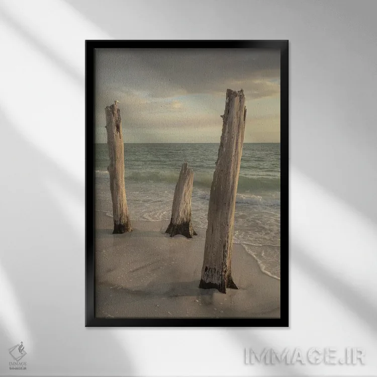 تابلو دکوراتیو Florida,پارک ایالتی لاورز کی، فلوریدا اثر مارسا پرایور - نمای قابدار مشکی