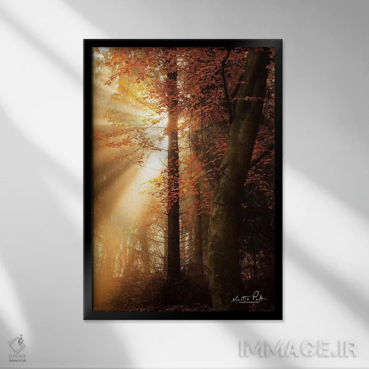 تابلو دکوراتیو بهترین های پاییز اثر مارتین پودت - نمای قابدار مشکی