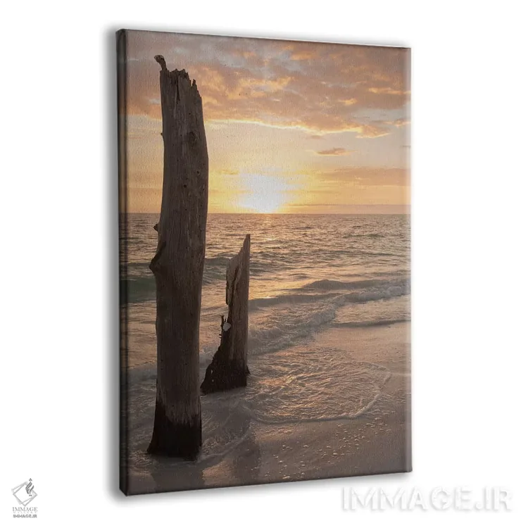 تابلو دکوراتیو Florida,غروب آفتاب در پارک ایالتی لاورز کی، فلوریدا اثر مارسا پرایور - نمای پرسپکتیو محصول