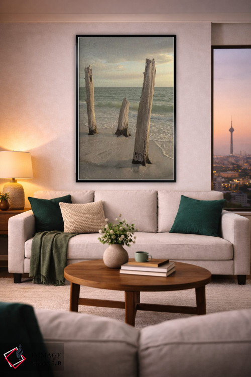 تابلو دکوراتیو Florida,پارک ایالتی لاورز کی، فلوریدا اثر مارسا پرایور - D3B