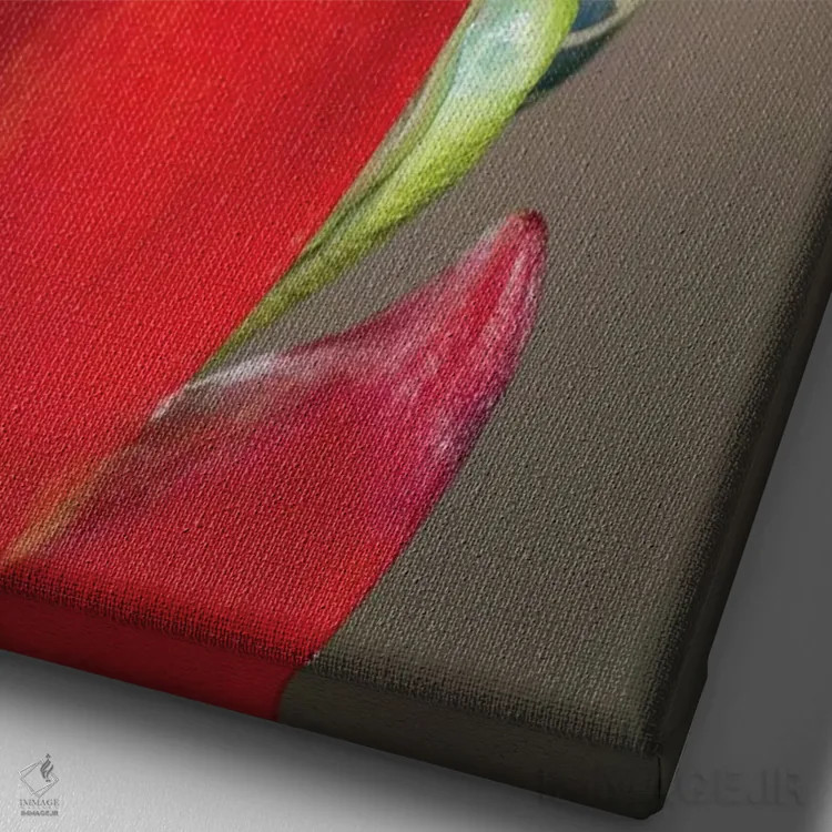 تابلو دکوراتیو قورباغه درختی چشم قرمز - ۱ اثر مارسا پرایور - نمای نزدیک بافت بوم