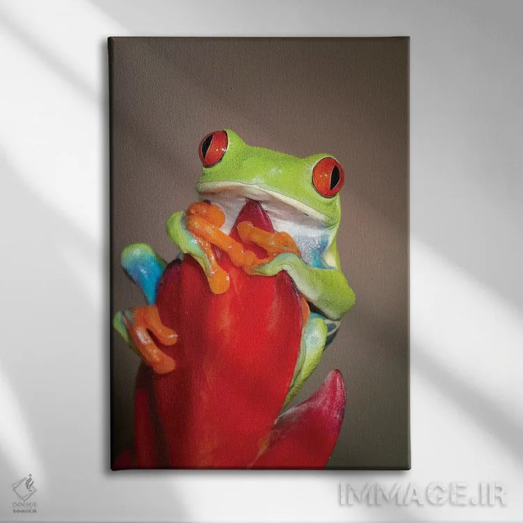 تابلو دکوراتیو قورباغه درختی چشم قرمز - ۱ اثر مارسا پرایور - نمای روبهرو روی دیوار