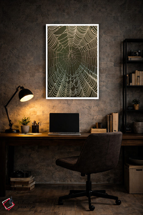 تابلو دکوراتیو Cameron Prairie National Wildlife Refuge, Louisiana,شبنم ص… اثر مارسا پرایور - D6W