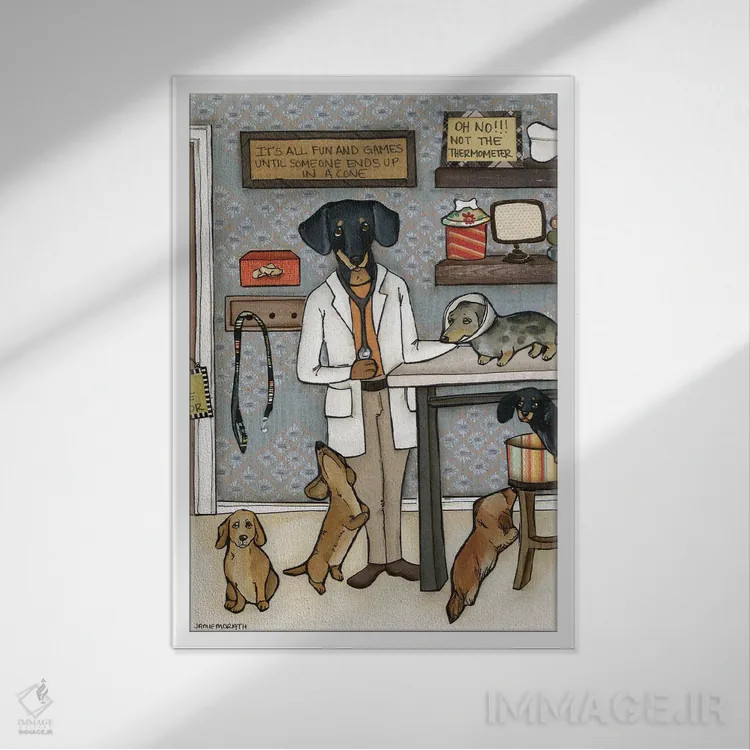 تابلو دکوراتیو داکسی دکتر اثر جیمی موراث - نمای قابدار سفید