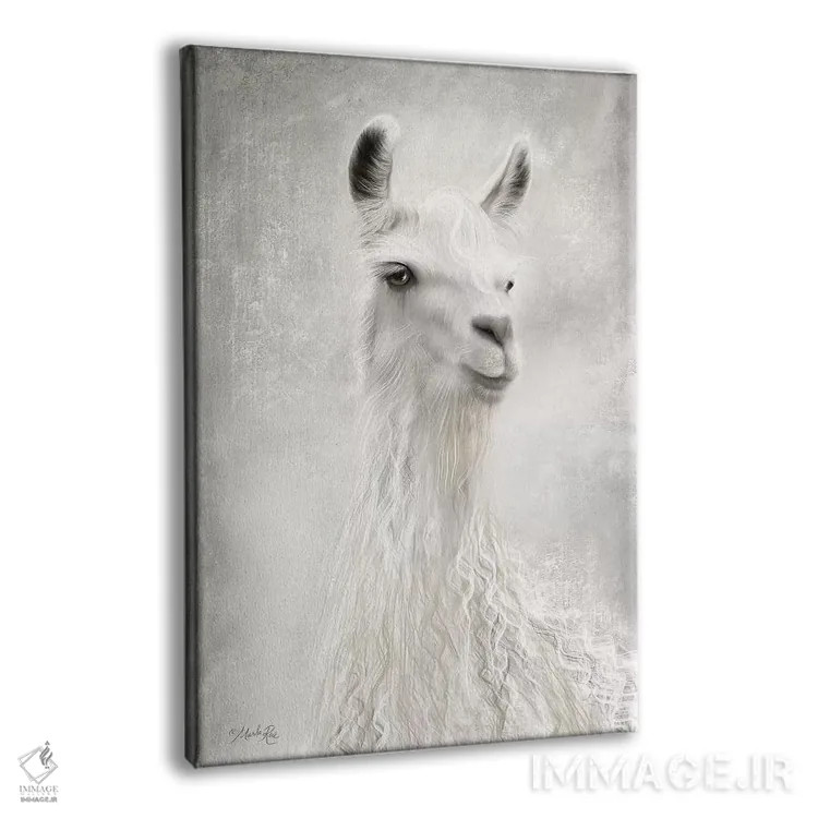 تابلو مدرن لولو شترلاما از نمای نزدیک اثر مارلا ری - نمای پرسپکتیو محصول