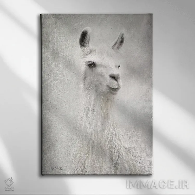 تابلو مدرن لولو شترلاما از نمای نزدیک اثر مارلا ری - نمای روبهرو روی دیوار