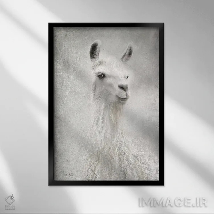 تابلو مدرن لولو شترلاما از نمای نزدیک اثر مارلا ری - نمای قابدار مشکی