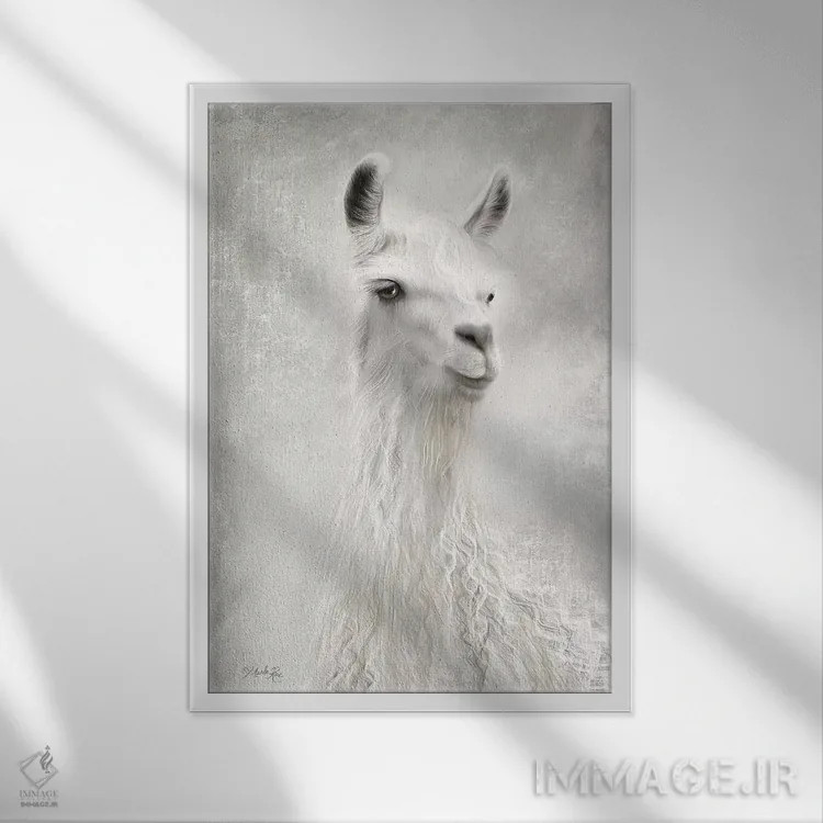 تابلو مدرن لولو شترلاما از نمای نزدیک اثر مارلا ری - نمای قابدار سفید