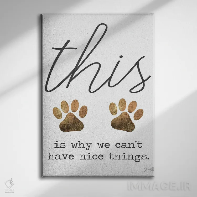 تابلو مدرن نمی شود چیزهای خوب داشت اثر مارلا ری - نمای روبهرو روی دیوار