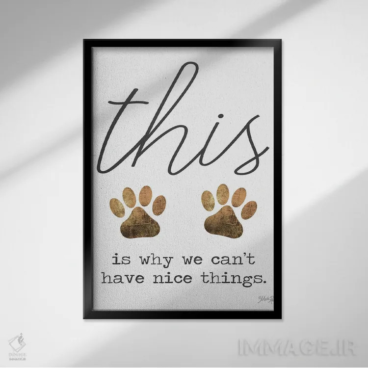 تابلو مدرن نمی شود چیزهای خوب داشت اثر مارلا ری - نمای قابدار مشکی