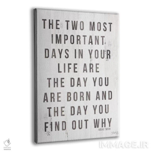 تابلو دکوراتیو دو روز مهم زندگی اثر مارلا ری - نمای پرسپکتیو محصول