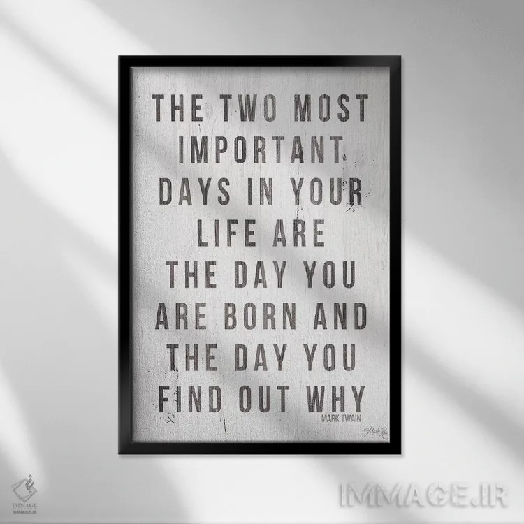 تابلو دکوراتیو دو روز مهم زندگی اثر مارلا ری - نمای قابدار مشکی