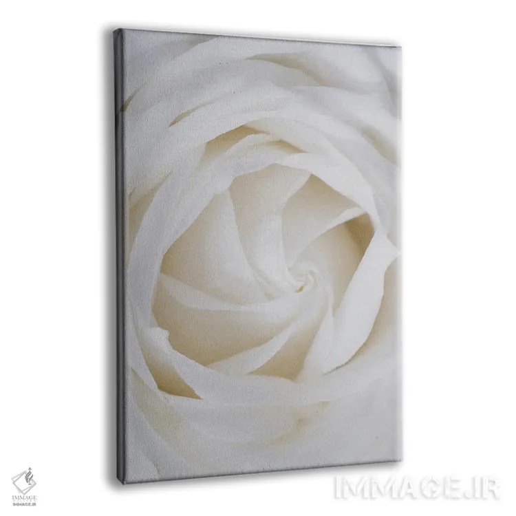 تابلو دکوراتیو رزهای سفید اثر مامبو آرت استودیو - نمای پرسپکتیو محصول