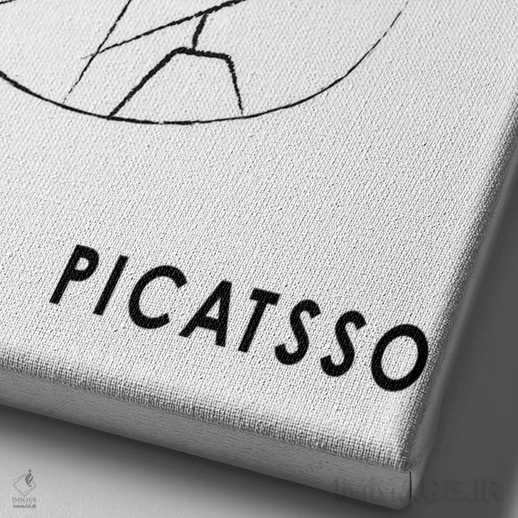 تابلو مدرن گربه پیکاتسو هنر خطی اثر مامبو آرت استودیو - نمای نزدیک بافت بوم