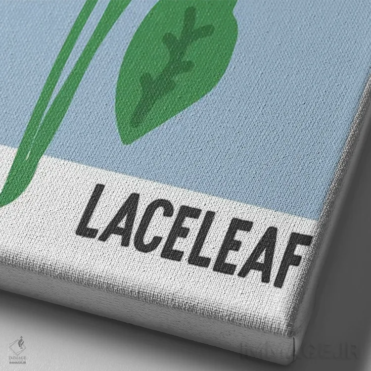 تابلو مینیمال پوستر بازار گل آنتوریوم اثر مامبو آرت استودیو - نمای نزدیک بافت بوم