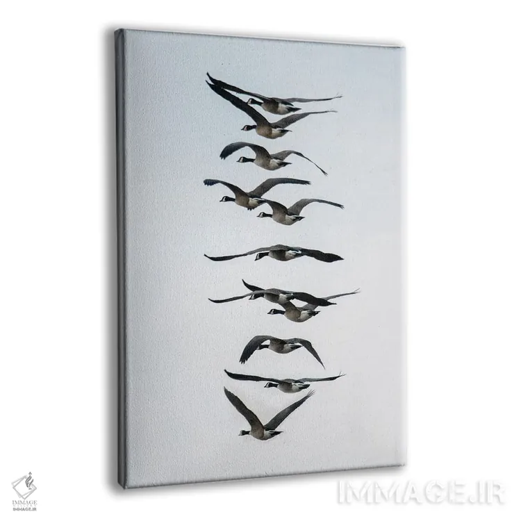 تابلو دکوراتیو پرواز غازها به صورت دسته جمعی اثر مایکل شوفلر - نمای پرسپکتیو محصول
