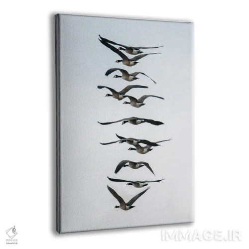 تابلو دکوراتیو پرواز غازها به صورت دسته جمعی اثر مایکل شوفلر - نمای پرسپکتیو محصول
