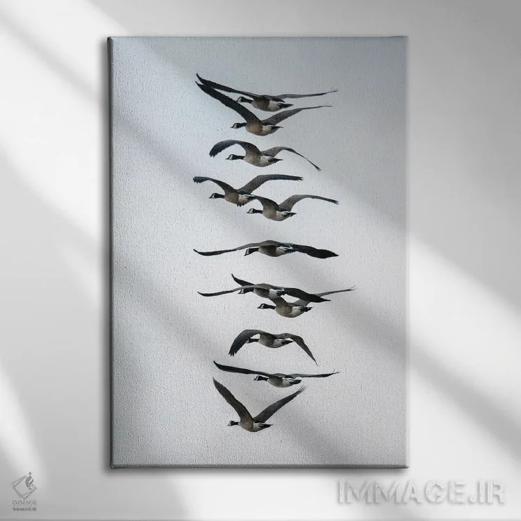 تابلو دکوراتیو پرواز غازها به صورت دسته جمعی اثر مایکل شوفلر - نمای روبهرو روی دیوار