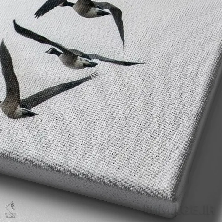 تابلو دکوراتیو پرواز غازها به صورت دسته جمعی اثر مایکل شوفلر - نمای نزدیک بافت بوم