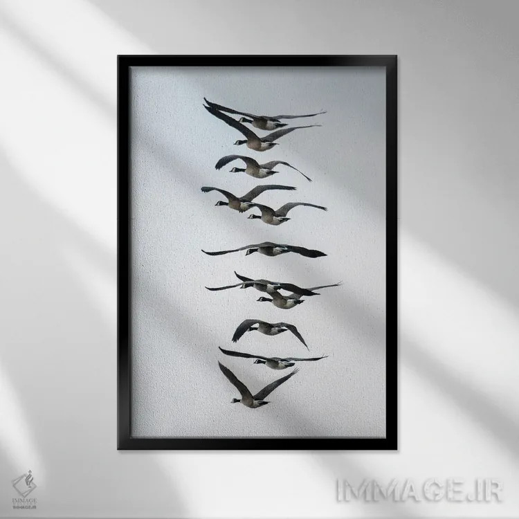 تابلو دکوراتیو پرواز غازها به صورت دسته جمعی اثر مایکل شوفلر - نمای قابدار مشکی