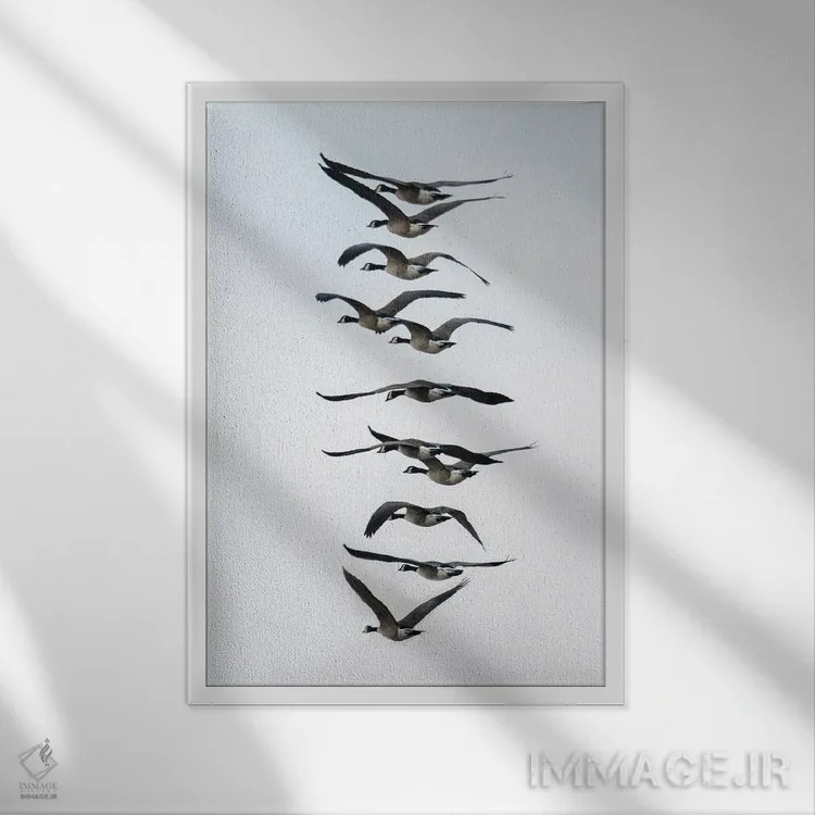 تابلو دکوراتیو پرواز غازها به صورت دسته جمعی اثر مایکل شوفلر - نمای قابدار سفید