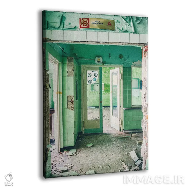 تابلو دکوراتیو اتاق عمل اثر مایکل شوآن - نمای پرسپکتیو محصول