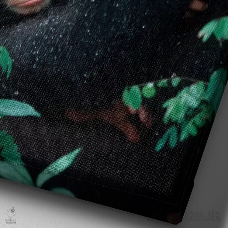 تابلو دکوراتیو Gombe National Park, Tanzania,شامپانزه نوزاد به همراه مادر… اثر کریستین موشر - نمای نزدیک بافت بوم