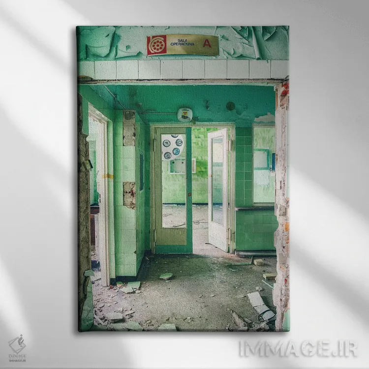 تابلو دکوراتیو اتاق عمل اثر مایکل شوآن - نمای روبهرو روی دیوار