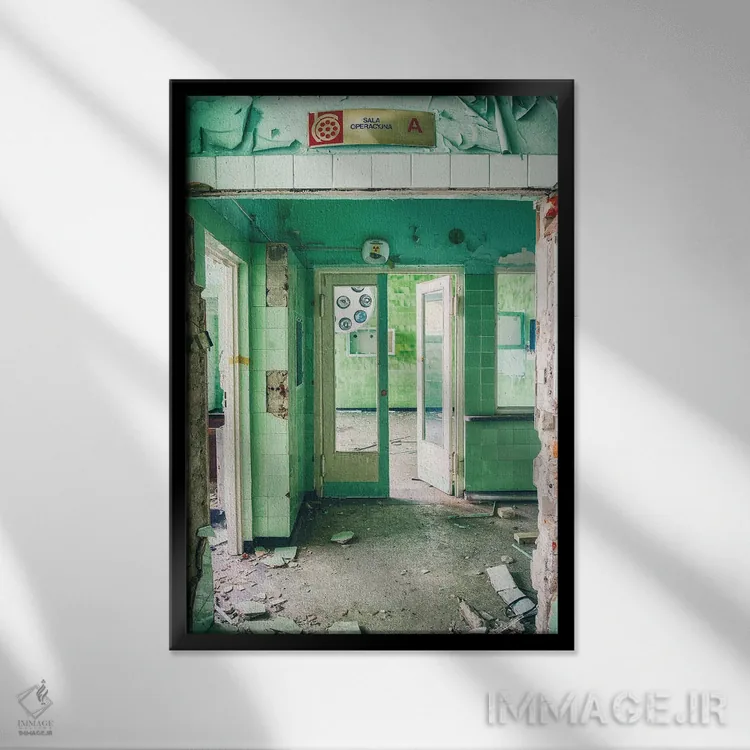 تابلو دکوراتیو اتاق عمل اثر مایکل شوآن - نمای قابدار مشکی