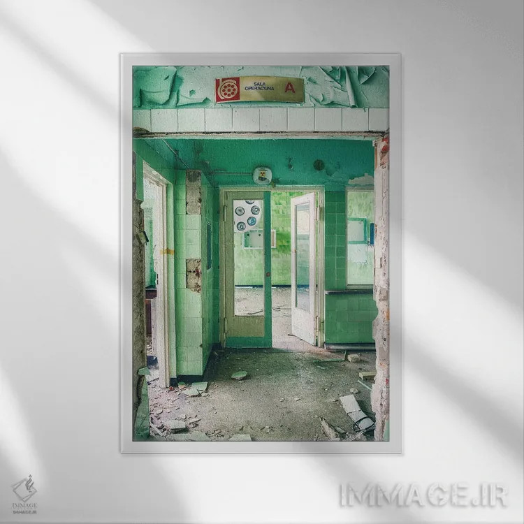 تابلو دکوراتیو اتاق عمل اثر مایکل شوآن - نمای قابدار سفید