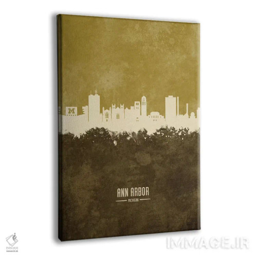 تابلو دکوراتیو منظره خط افق ان آربر میشیگان اثر مایکل تامپست - نمای پرسپکتیو محصول